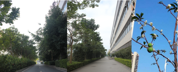 �ڲ������ - ����Ϊ��,רҵ����!